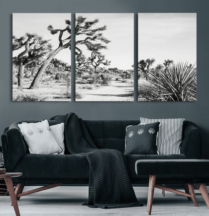 Canvas of a Joshua Tree forest in black and white tones, featuring a desert path and spiky vegetation, ideal for minimalist or rustic decor.