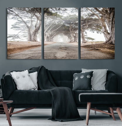 Canvas of a misty tree tunnel with arching cypress trees and an earthy road, ideal for rustic or coastal nature decor.