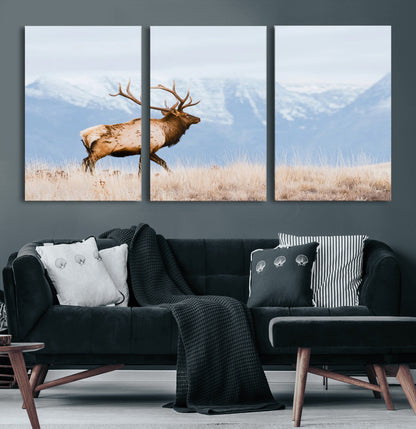 An elk walking on snowy grassland with majestic mountains in the background, ideal for rustic lodge or cabin wall decor.