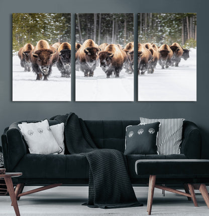 A herd of American bisons walking through a snowy forest path, perfect for rustic cabin or Western-themed wall decor.