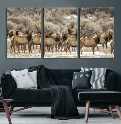 A large herd of elk standing in an open field with soft earthy tones, ideal for rustic lodge or western-themed home wall decor.