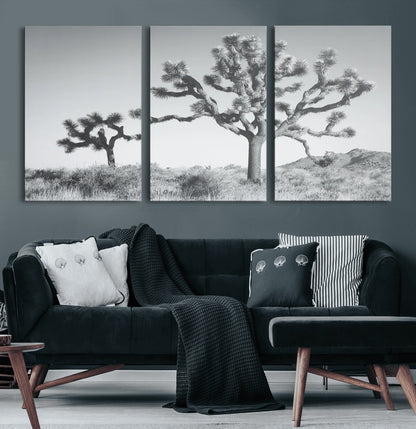 Black and white Joshua tree in a desert landscape with soft light and dry brush, perfect for rustic or minimalist home decor.
