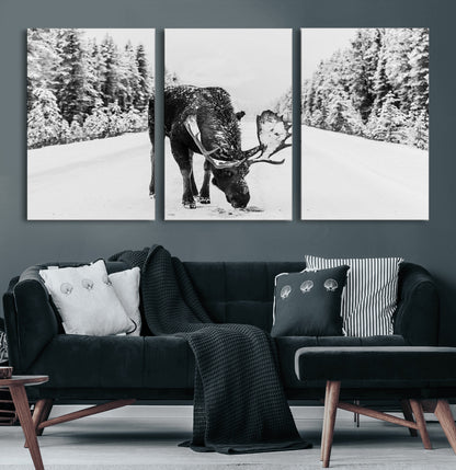A majestic moose grazing in the snow-covered wilderness, surrounded by snow-covered trees, creating a peaceful winter scene.
