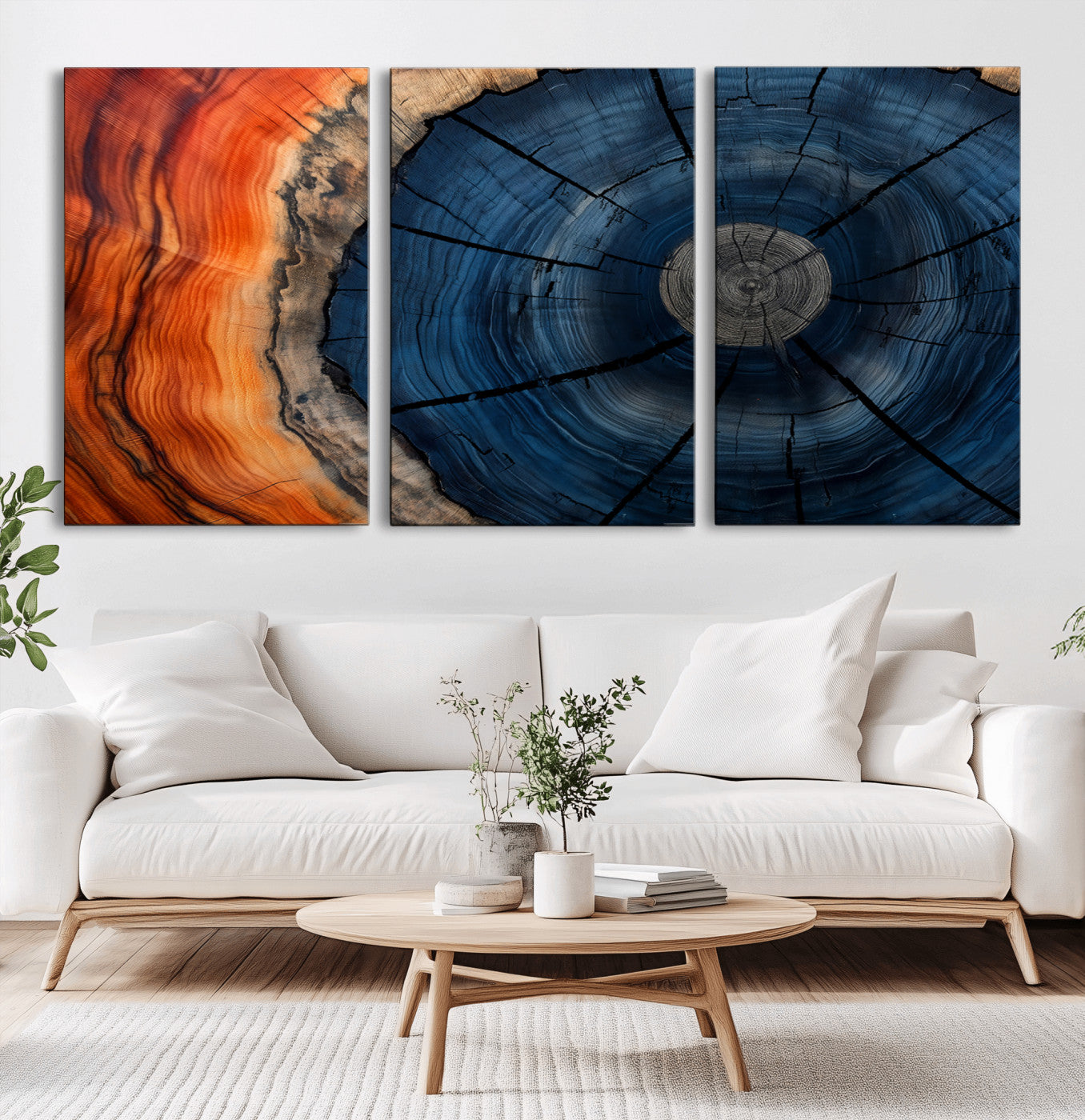 A captivating close-up of a tree trunk, showcasing its concentric rings in rich shades of blue, orange, and brown, highlighting the organic patterns of natural wood.