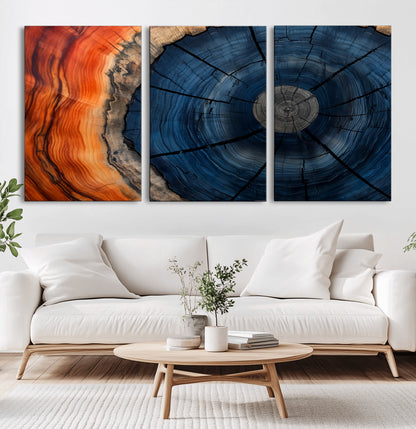 A captivating close-up of a tree trunk, showcasing its concentric rings in rich shades of blue, orange, and brown, highlighting the organic patterns of natural wood.