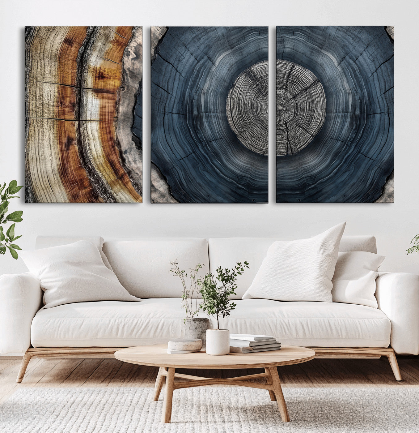 A stunning close-up of a tree trunk showing the intricate, circular growth rings, showcasing the natural textures and rich contrasts in deep blues, browns, and silvers.