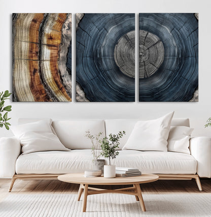A stunning close-up of a tree trunk showing the intricate, circular growth rings, showcasing the natural textures and rich contrasts in deep blues, browns, and silvers.