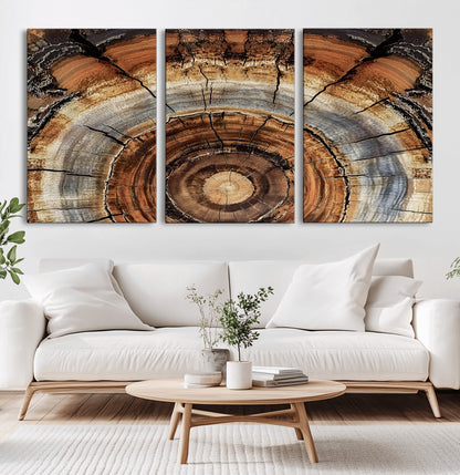 Canvas of tree rings and natural wood grain in earthy tones, ideal for rustic or vintage-inspired home decor with organic textures.