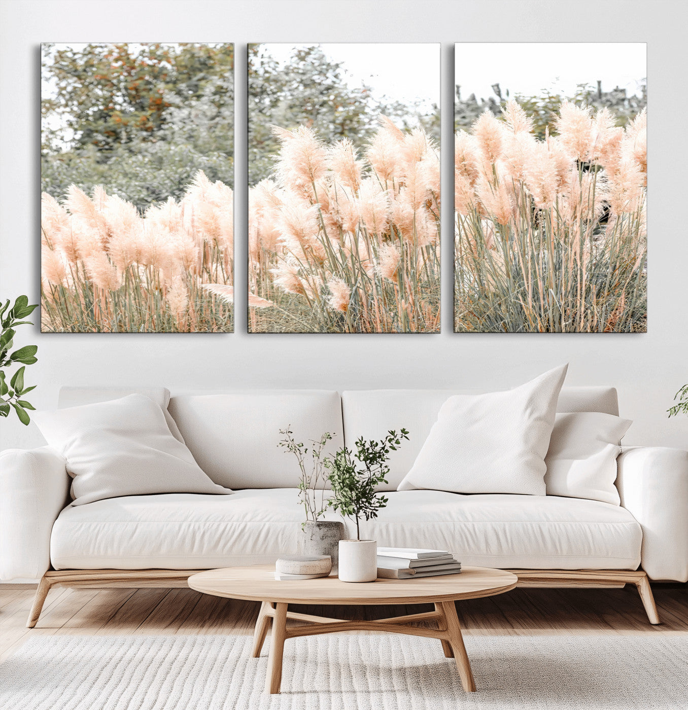 Soft pastel pampas grasses in a natural setting, ideal for neutral boho or rustic botanical-style interior wall decoration.