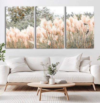 Soft pastel pampas grasses in a natural setting, ideal for neutral boho or rustic botanical-style interior wall decoration.