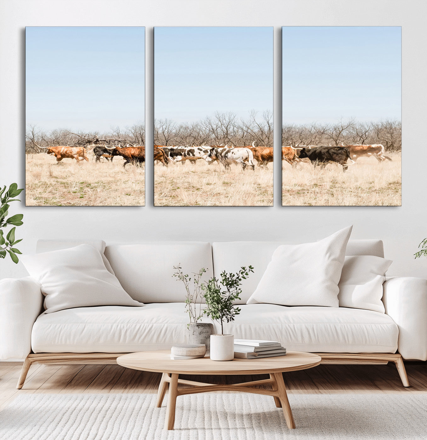 Framed wall art of Texas longhorn cattle walking through a dry, neutral-toned prairie, perfect for rustic farmhouse or western-themed home decor.