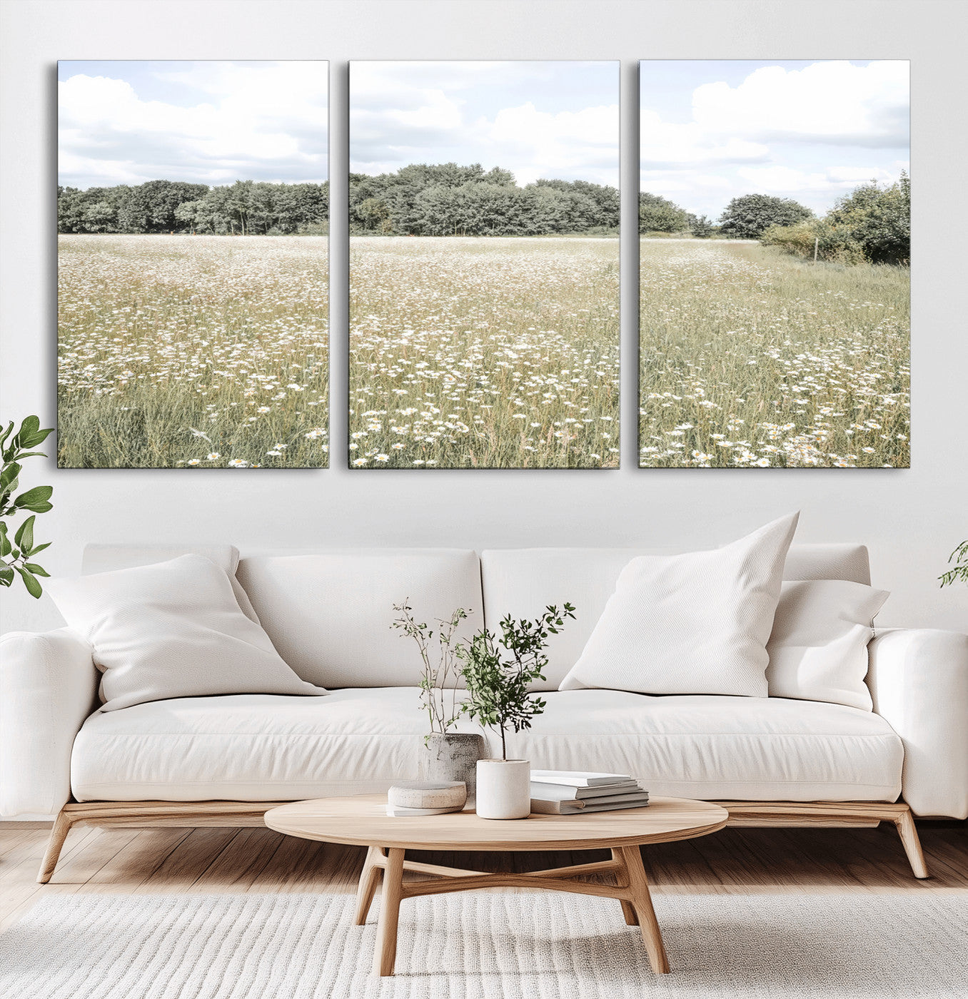 Soft-toned image of a wild daisy field under a cloudy sky, ideal for neutral or Scandinavian-inspired home decor.
