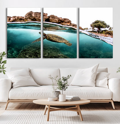 Dynamic split-view photo of a sea turtle swimming near rocky shores, perfect for vibrant coastal or tropical beach home decor.
