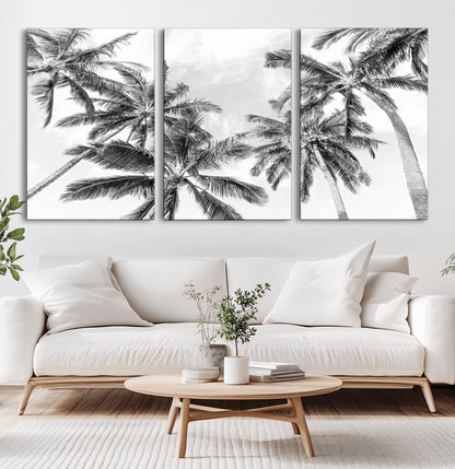 Black and white tropical palm trees viewed from below, swaying gently against a bright sky, creating a serene and elegant coastal atmosphere.