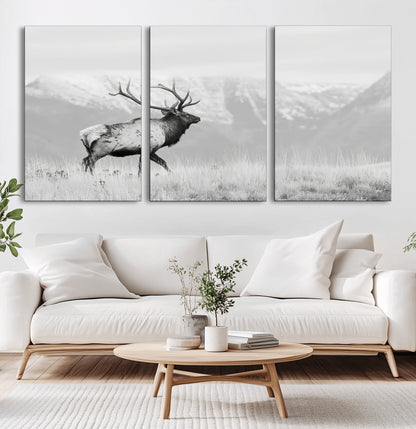Black and white photograph of a majestic elk standing in a grassy field with snow-capped mountains in the background, creating a bold and rustic wilderness scene.