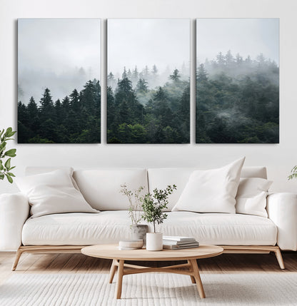 A misty evergreen forest shrouded in soft fog, creating a tranquil and moody landscape with lush green trees fading into the distance.