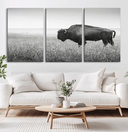 A black and white photograph of a majestic bison standing in a vast grassy prairie, evoking a sense of wilderness and strength.