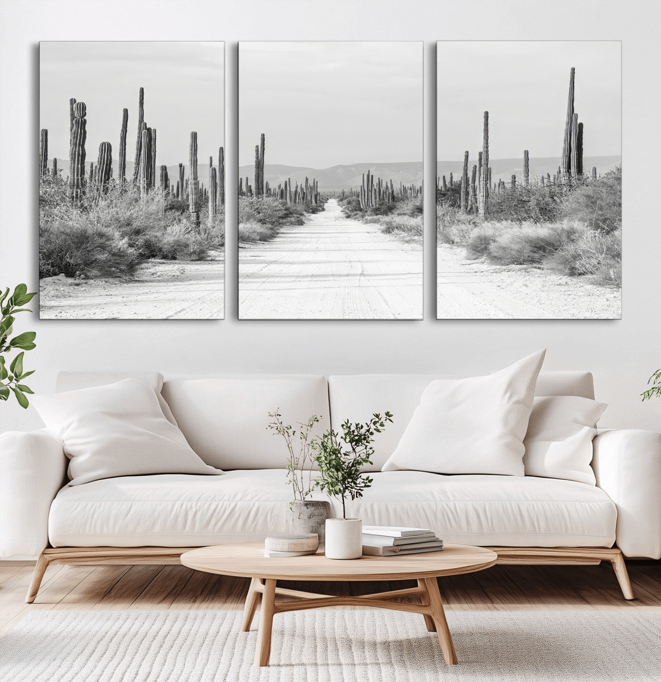 A black and white desert road stretching through a cactus-filled landscape, creating a rugged and timeless southwestern aesthetic with a sense of adventure.