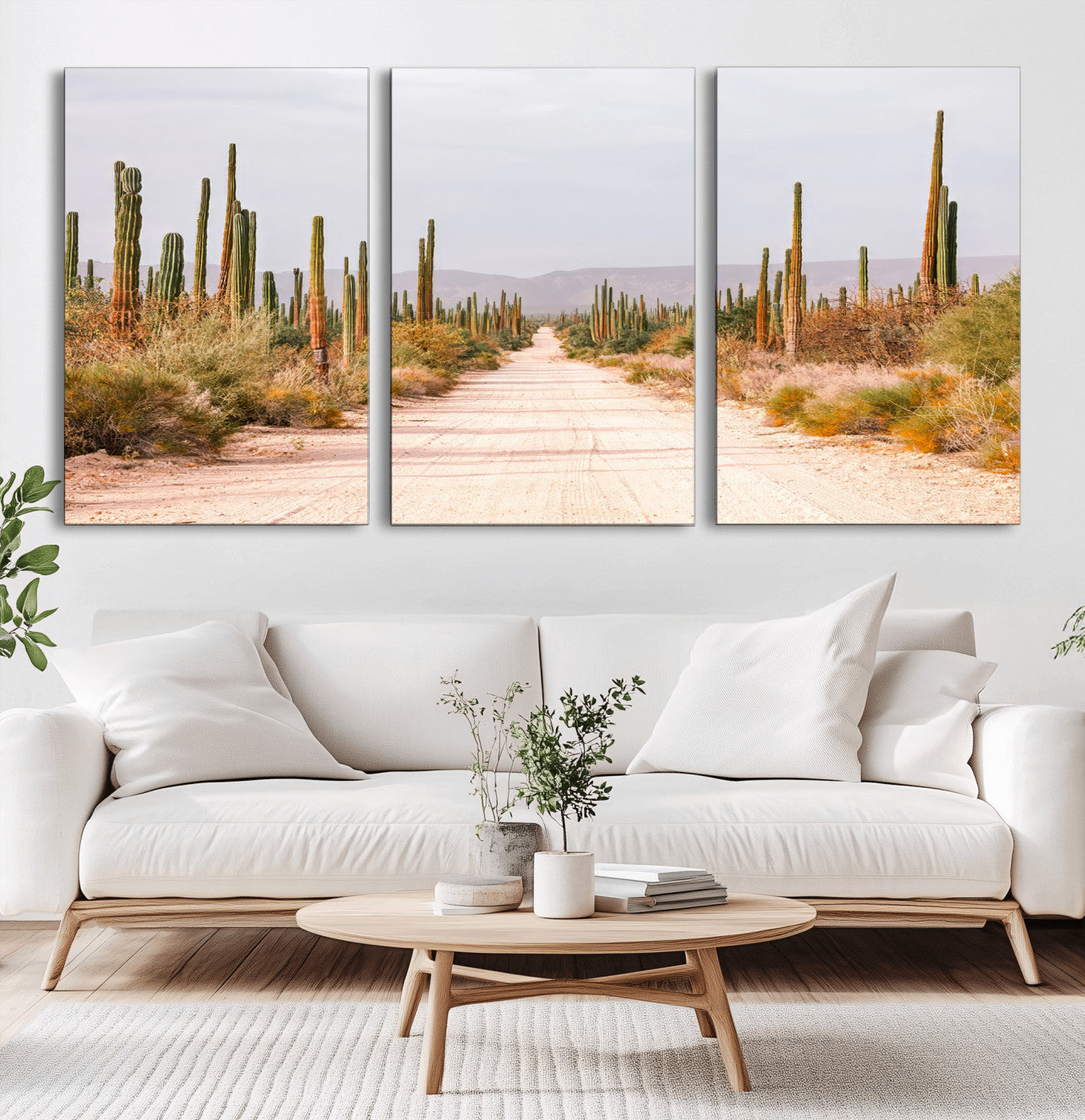 A desert road lined with saguaro cacti under a golden sky, creating a warm southwestern feel, perfect for boho or rustic decor.
