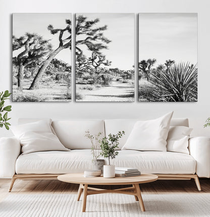 Canvas of a Joshua Tree forest in black and white tones, featuring a desert path and spiky vegetation, ideal for minimalist or rustic decor.