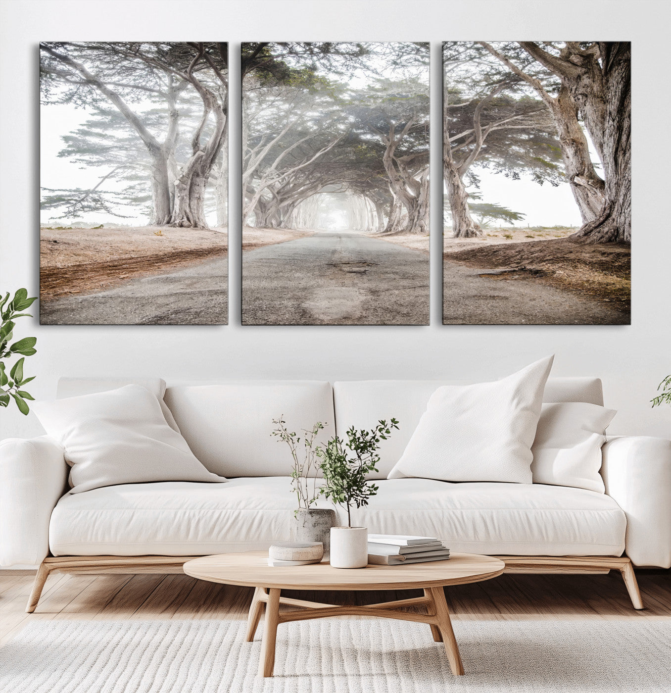 Canvas of a misty tree tunnel with arching cypress trees and an earthy road, ideal for rustic or coastal nature decor.