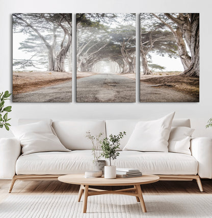 Canvas of a misty tree tunnel with arching cypress trees and an earthy road, ideal for rustic or coastal nature decor.