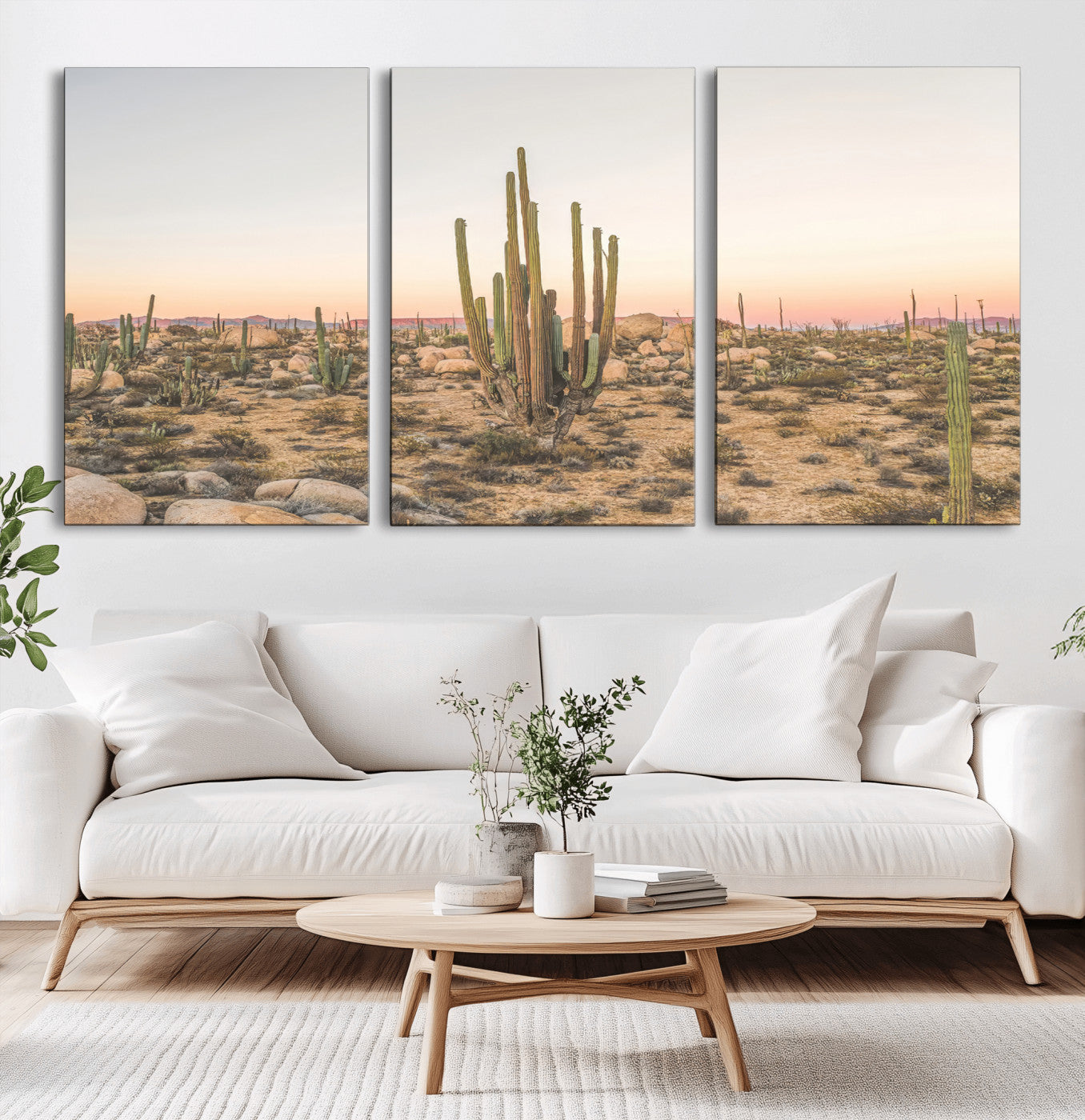 Canvas of tall desert cacti in warm sunset tones over a rocky Baja landscape, ideal for earthy or Southwestern-style home decor.