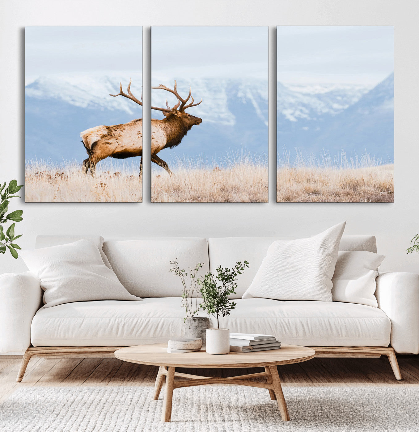 An elk walking on snowy grassland with majestic mountains in the background, ideal for rustic lodge or cabin wall decor.