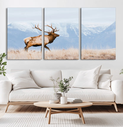 An elk walking on snowy grassland with majestic mountains in the background, ideal for rustic lodge or cabin wall decor.