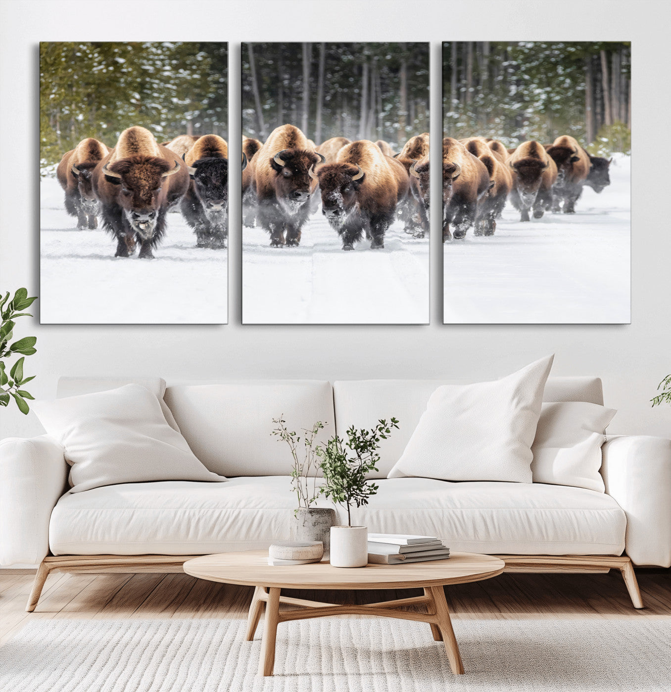 A herd of American bisons walking through a snowy forest path, perfect for rustic cabin or Western-themed wall decor.