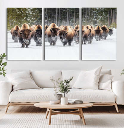 A herd of American bisons walking through a snowy forest path, perfect for rustic cabin or Western-themed wall decor.
