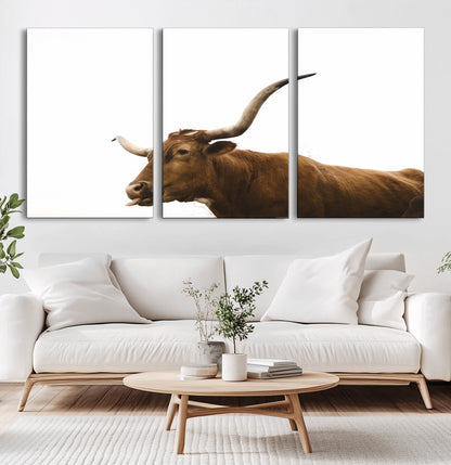 Minimal photo of a longhorn cow with white background, ideal for rustic, western or farmhouse-style interior decor.