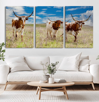 Three Texas longhorn cattle standing in dry grass under a bright blue sky, ideal for farmhouse or western rustic home decor.