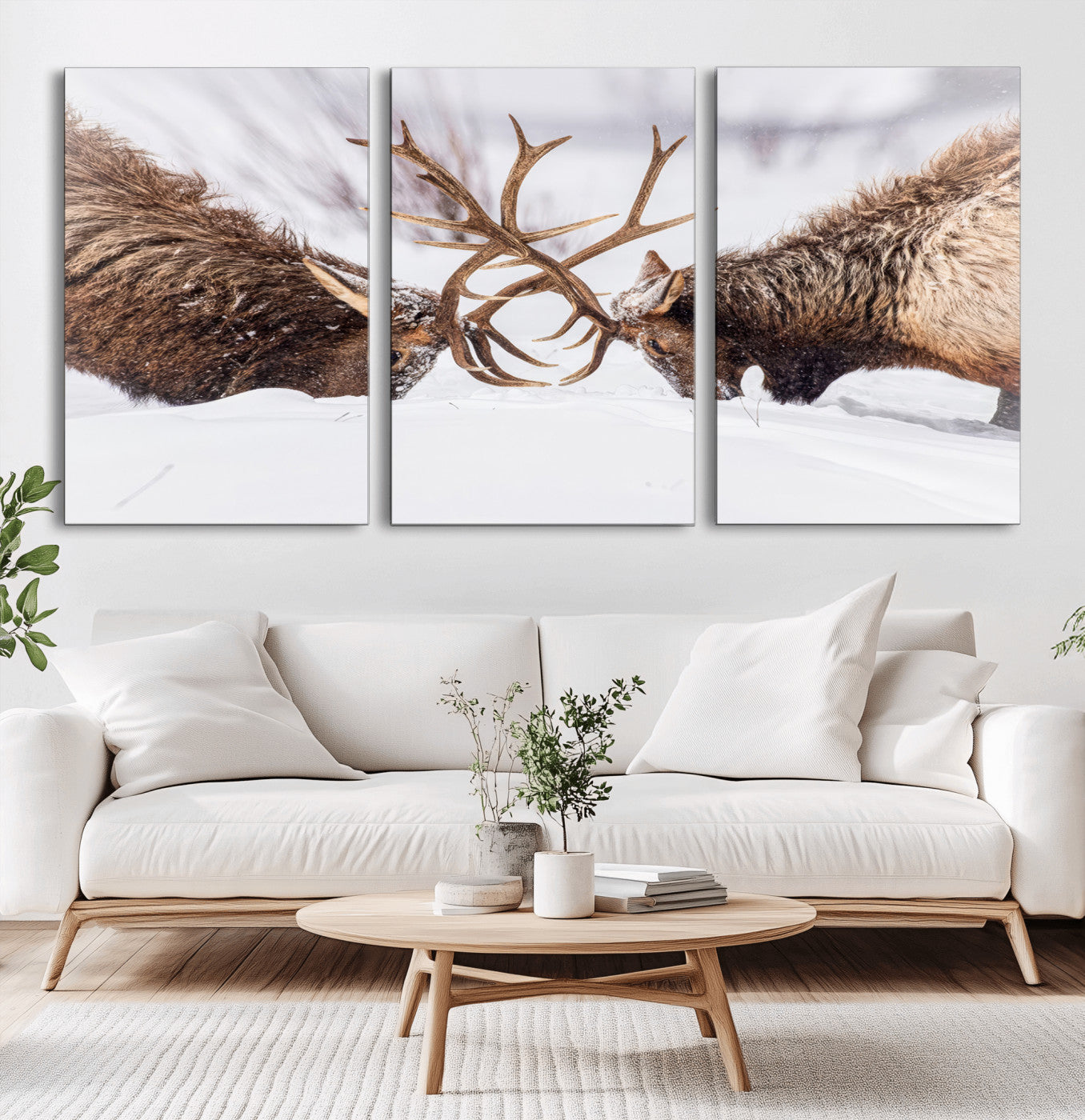 Two elk clashing antlers in a snowy forest, capturing raw power and wild energy, ideal for rustic cabin or lodge-style decor.