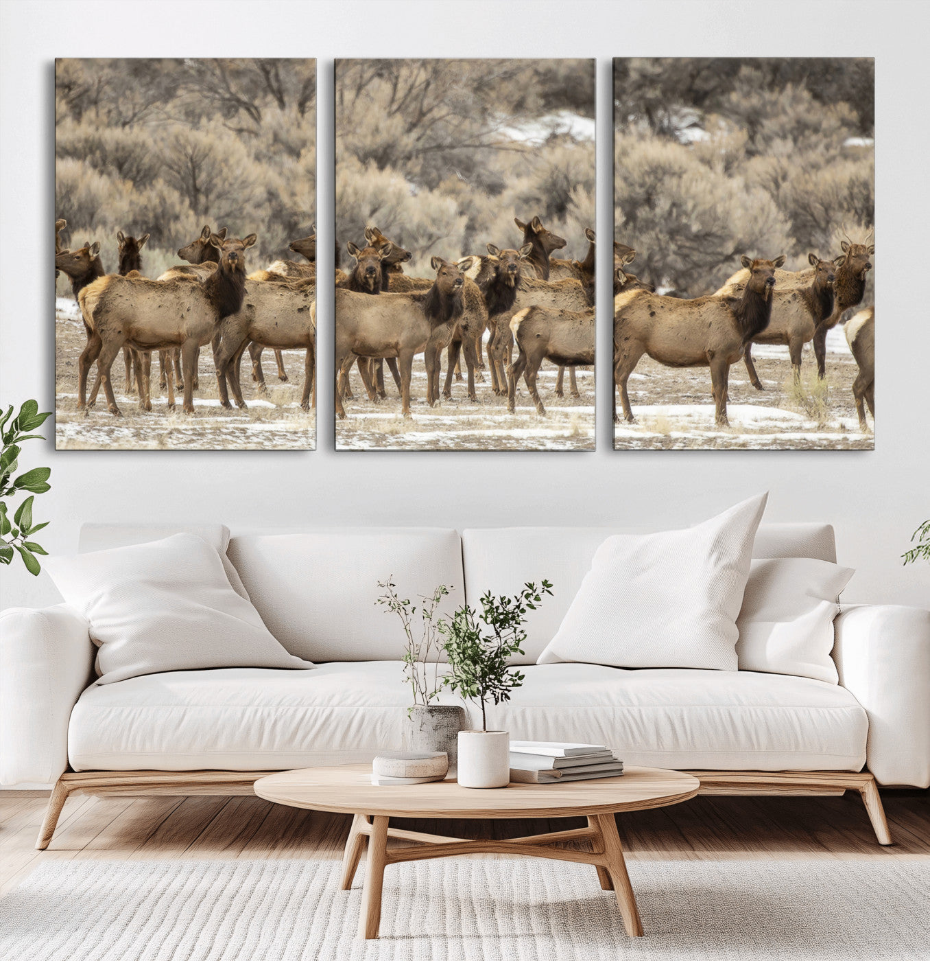 A large herd of elk standing in an open field with soft earthy tones, ideal for rustic lodge or western-themed home wall decor.
