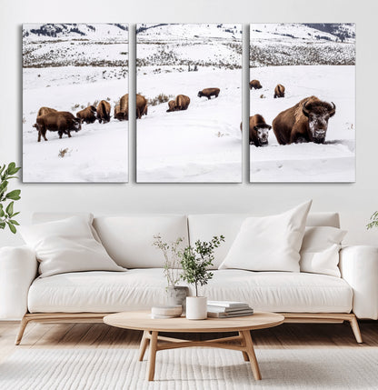 A herd of bison walking through deep snow in a mountain valley, perfect for rustic, cabin or western-themed wall decor.