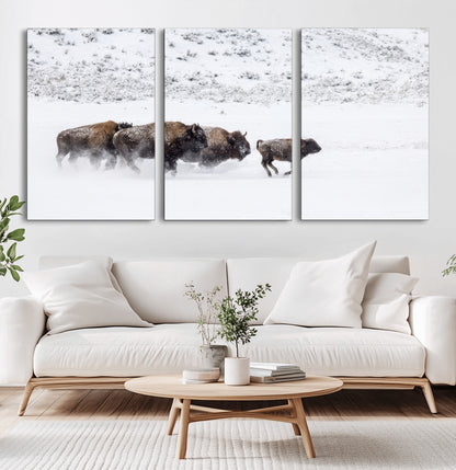 Bison herd running through a snowy open field with mountain backdrop, perfect for rustic or western-themed wall decoration.