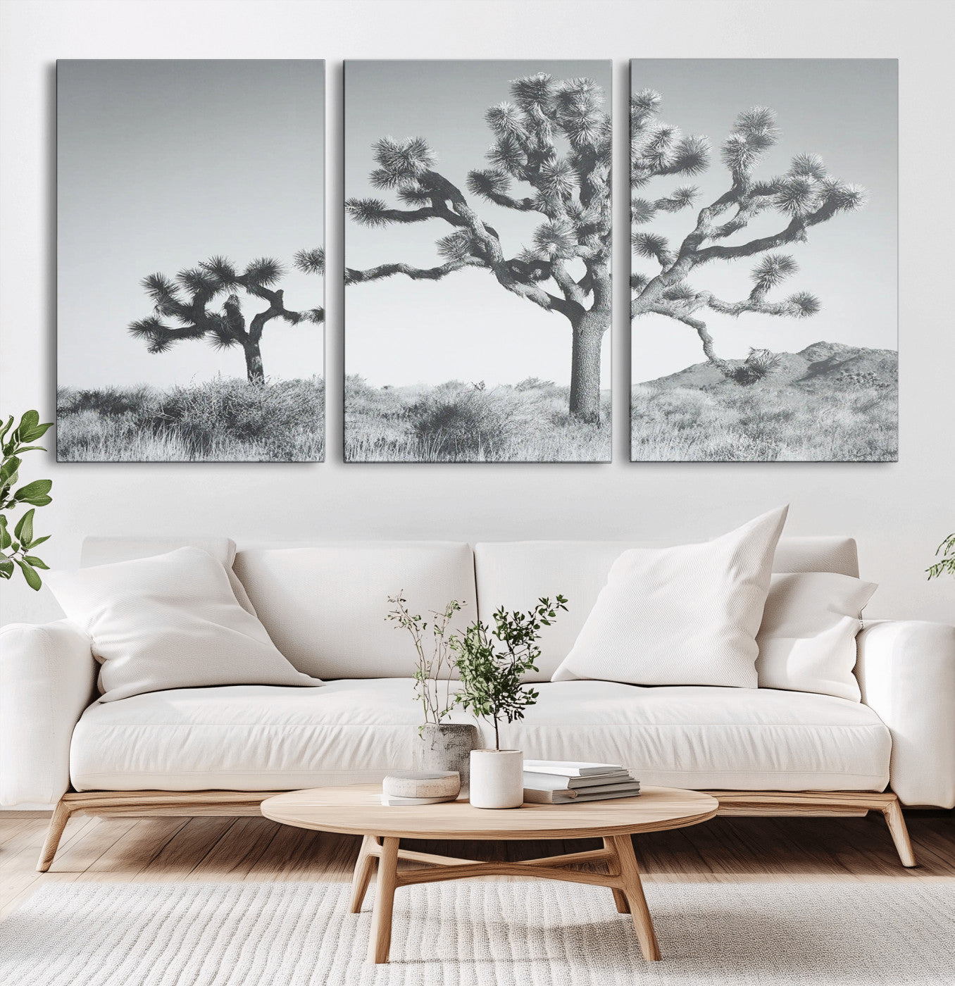 Black and white Joshua tree in a desert landscape with soft light and dry brush, perfect for rustic or minimalist home decor.