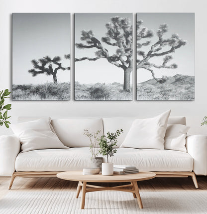 Black and white Joshua tree in a desert landscape with soft light and dry brush, perfect for rustic or minimalist home decor.