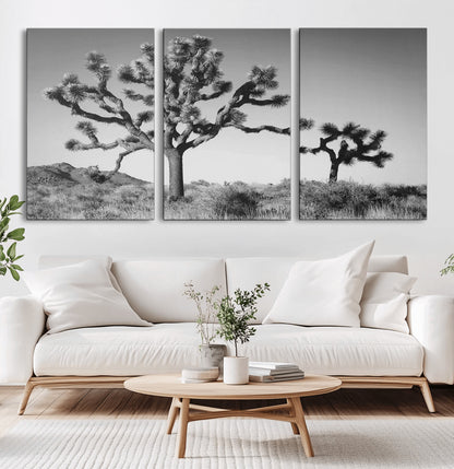 Black and white Joshua trees in a rugged desert landscape, creating a calm and minimalist feel for natural or rustic-themed interiors.
