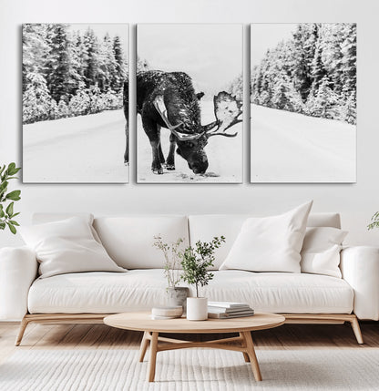 A majestic moose grazing in the snow-covered wilderness, surrounded by snow-covered trees, creating a peaceful winter scene.