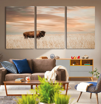 Bison Wall Art Print - Buffalo Canvas Print, featuring a lone bison in a golden prairie under a warm sunset sky, perfect for rustic and farmhouse decor.