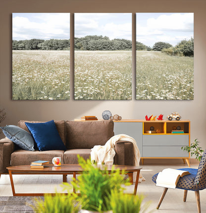Soft-toned image of a wild daisy field under a cloudy sky, ideal for neutral or Scandinavian-inspired home decor.