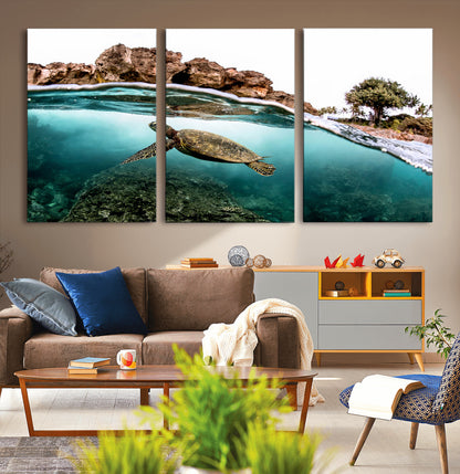 Dynamic split-view photo of a sea turtle swimming near rocky shores, perfect for vibrant coastal or tropical beach home decor.