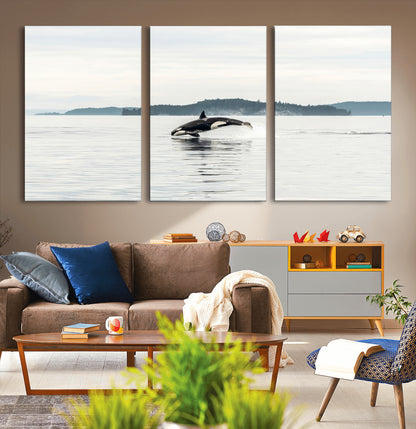 An orca jumping out of calm ocean waters with a misty island in the background, creating a serene and minimalist marine wildlife scene.