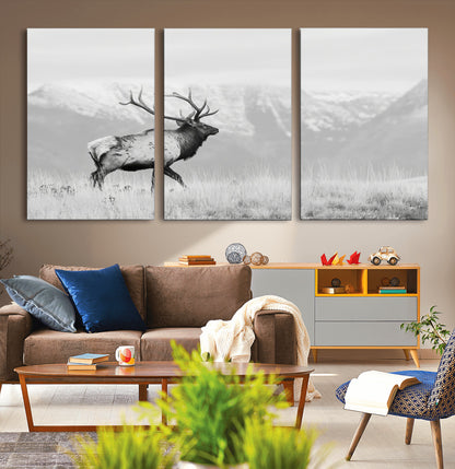 Black and white photograph of a majestic elk standing in a grassy field with snow-capped mountains in the background, creating a bold and rustic wilderness scene.