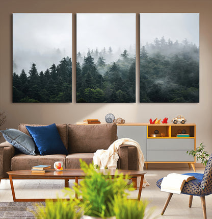 A misty evergreen forest shrouded in soft fog, creating a tranquil and moody landscape with lush green trees fading into the distance.