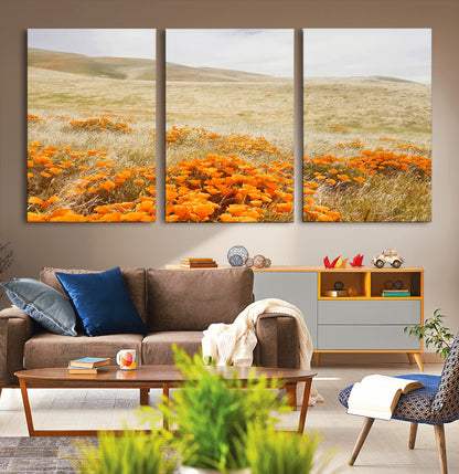 A golden field with vibrant orange poppies blooming across rolling hills under a soft, sunlit sky, creating a warm and rustic landscape.