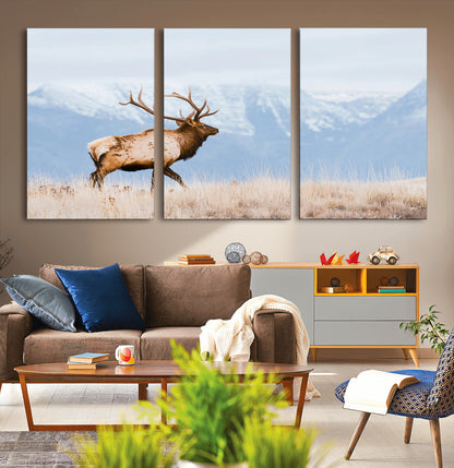 An elk walking on snowy grassland with majestic mountains in the background, ideal for rustic lodge or cabin wall decor.
