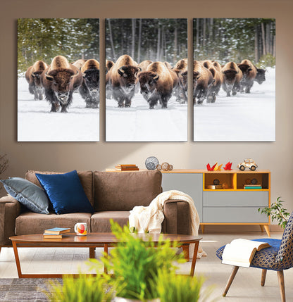 A herd of American bisons walking through a snowy forest path, perfect for rustic cabin or Western-themed wall decor.